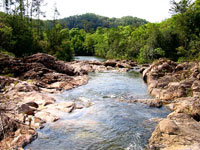 Downstream view of the river